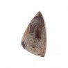 Agata Crazy Lace Naturale Forma Fantasia Piatto Cabochon Liscio Fatto a Mano 24X14mm 2,97gm 1pz