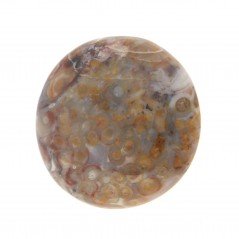 Agata Radice di Palma Naturale Forma Tondo Piatto Cabochon Liscio Fatto a Mano 30mm 9.18gm 1pz