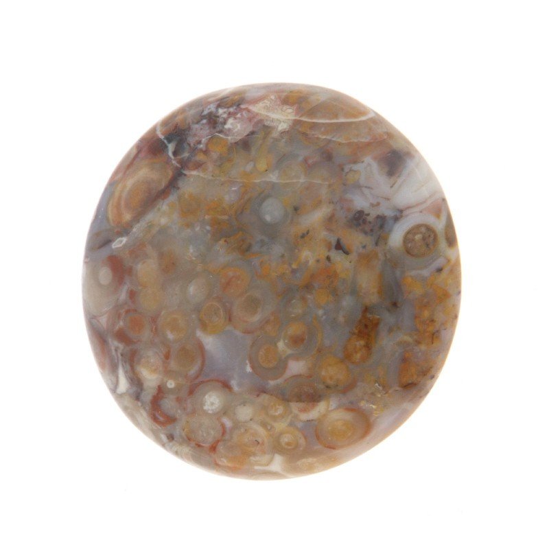 Agata Radice di Palma Naturale Forma Tondo Piatto Cabochon Liscio Fatto a Mano 30mm 9.18gm 1pz