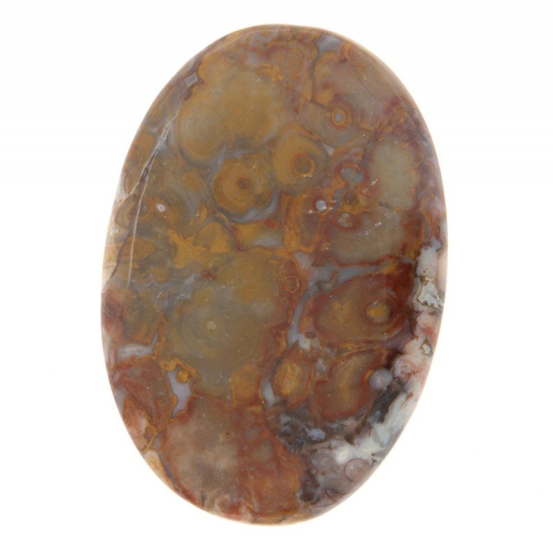 Agata Radice di Palma Naturale Forma Ovale Piatto Cabochon Liscio Fatto a Mano 46X33mm 14.52gm 1pz
