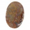 Agata Radice di Palma Naturale Forma Ovale Piatto Cabochon Liscio Fatto a Mano 46X33mm 14.52gm 1pz