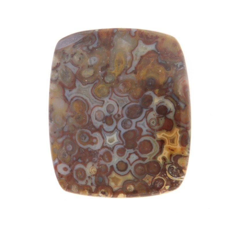 Agata Radice di Palma Naturale Forma Goccia Piatto Cabochon Liscio Fatto a Mano 31X27mm 9.38gm 1pz