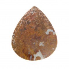 Agata Radice di Palma Naturale Forma Goccia Piatto Cabochon Liscio Fatto a Mano 35X28mm 5.83gm 1pz Agata Radice di Palma Naturale Forma Goccia Piatto Cabochon Liscio Fatto a Mano 35X28mm 5.83gm 1pz