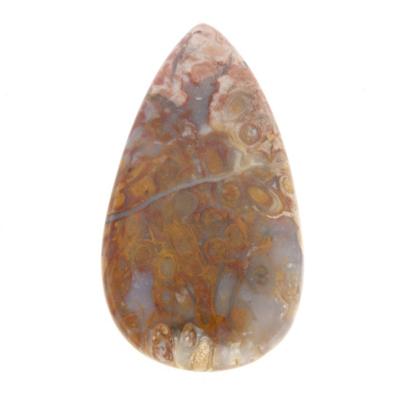 Agata Radice di Palma Naturale Forma Goccia Piatto Cabochon Liscio Fatto a Mano 38X21mm 6.82gm 1pz