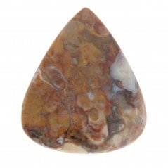 Agata Radice di Palma Naturale Forma Goccia Piatto Cabochon Liscio Fatto a Mano 38X31mm 10.85gm 1pz Agata Radice di Palma Naturale Forma Goccia Piatto Cabochon Liscio Fatto a Mano 38X31mm 10.85gm 1pz