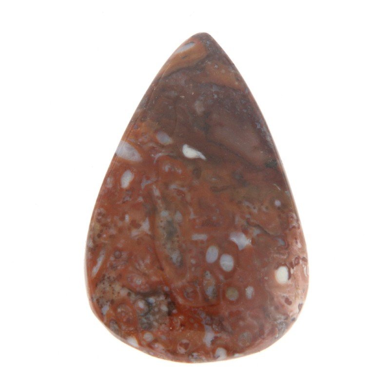 Agata Radice di Palma Naturale Forma Goccia Piatto Cabochon Liscio Fatto a Mano 37X24mm 7.33gm 1pz