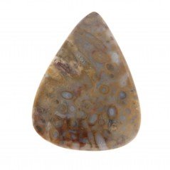 Agata Radice di Palma Naturale Forma Goccia Piatto Cabochon Liscio Fatto a Mano 36X27mm 7.19gm 1pz Agata Radice di Palma Naturale Forma Goccia Piatto Cabochon Liscio Fatto a Mano 36X27mm 7.19gm 1pz