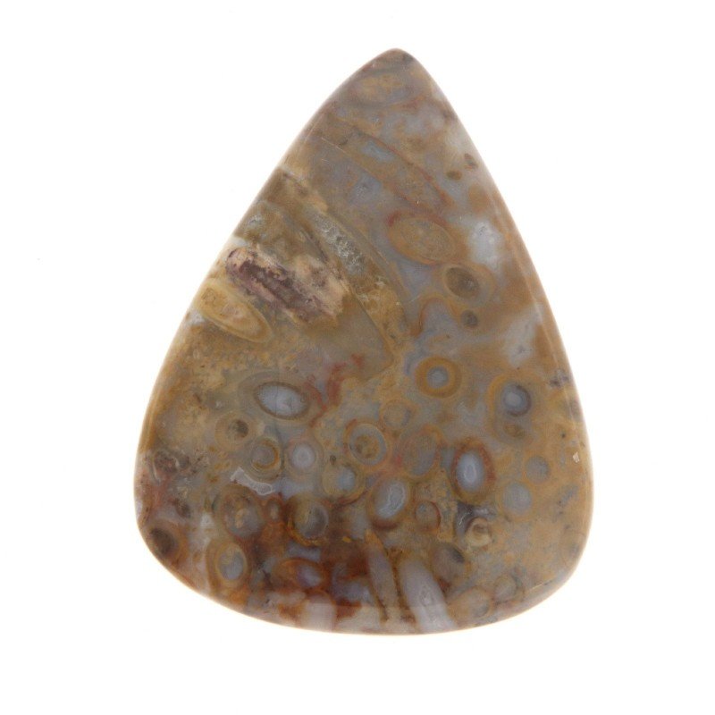 Agata Radice di Palma Naturale Forma Goccia Piatto Cabochon Liscio Fatto a Mano 36X27mm 7.19gm 1pz Agata Radice di Palma Naturale Forma Goccia Piatto Cabochon Liscio Fatto a Mano 36X27mm 7.19gm 1pz