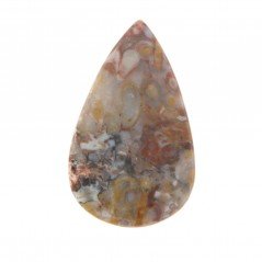 Agata Radice di Palma Naturale Forma Goccia Piatto Cabochon Liscio Fatto a Mano 42X24mm 7.69gm 1pz Agata Radice di Palma Naturale Forma Goccia Piatto Cabochon Liscio Fatto a Mano 42X24mm 7.69gm 1pz
