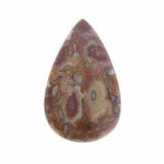 Agata Radice di Palma Naturale Forma Goccia Piatto Cabochon Liscio Fatto a Mano 33X20mm 5.96gm 1pz