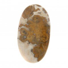 Agata Radice di Palma Naturale Forma Ovale Piatto Cabochon Liscio Fatto a Mano 43X25mm 10.89gm 1pz Agata Radice di Palma Naturale Forma Ovale Piatto Cabochon Liscio Fatto a Mano 43X25mm 10.89gm 1pz