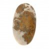 Agata Radice di Palma Naturale Forma Ovale Piatto Cabochon Liscio Fatto a Mano 43X25mm 10.89gm 1pz