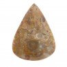 Agata Radice di Palma Naturale Forma Goccia Piatto Cabochon Liscio Fatto a Mano 38X27mm 7.30gm 1pz