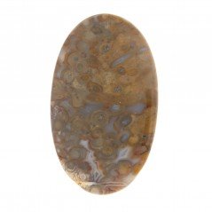 Agata Radice di Palma Naturale Forma Ovale Piatto Cabochon Liscio Fatto a Mano 43X26mm 8.80gm 1pz Agata Radice di Palma Naturale Forma Ovale Piatto Cabochon Liscio Fatto a Mano 43X26mm 8.80gm 1pz