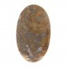 Agata Radice di Palma Naturale Forma Ovale Piatto Cabochon Liscio Fatto a Mano 43X26mm 8.80gm 1pz