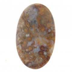 Agata Radice di Palma Naturale Forma Ovale Piatto Cabochon Liscio Fatto a Mano 46X29mm 12.09gm 1pz