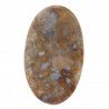 Agata Radice di Palma Naturale Forma Ovale Piatto Cabochon Liscio Fatto a Mano 46X29mm 12.09gm 1pz
