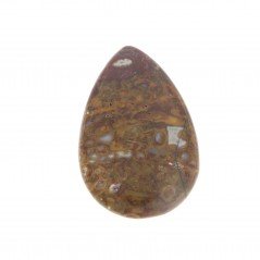 Agata Radice di Palma Naturale Forma Goccia Piatto Cabochon Liscio Fatto a Mano 29X19mm 4.63gm 1pz