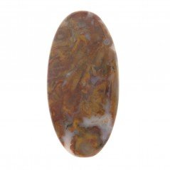 Agata Radice di Palma Naturale Forma Ovale Piatto Cabochon Liscio Fatto a Mano 44X22mm 8.48gm 1pz Agata Radice di Palma Naturale Forma Ovale Piatto Cabochon Liscio Fatto a Mano 44X22mm 8.48gm 1pz