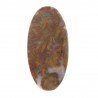 Agata Radice di Palma Naturale Forma Ovale Piatto Cabochon Liscio Fatto a Mano 44X22mm 8.48gm 1pz