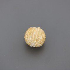 More tonde  Di quarzo citrino Rondelle Intrecciate indiane 20x23 mm 1pz