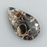Agata Turritella Naturale Forma Goccia Piatto Cabochon Liscio Fatto a Mano 24X14X5mm 13,95 Carati 1pz