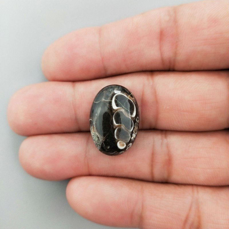 Agata Turritella Naturale Forma Ovale Piatto Cabochon Liscio Fatto a Mano 21X15X6mm 17,30 Carati 1pz