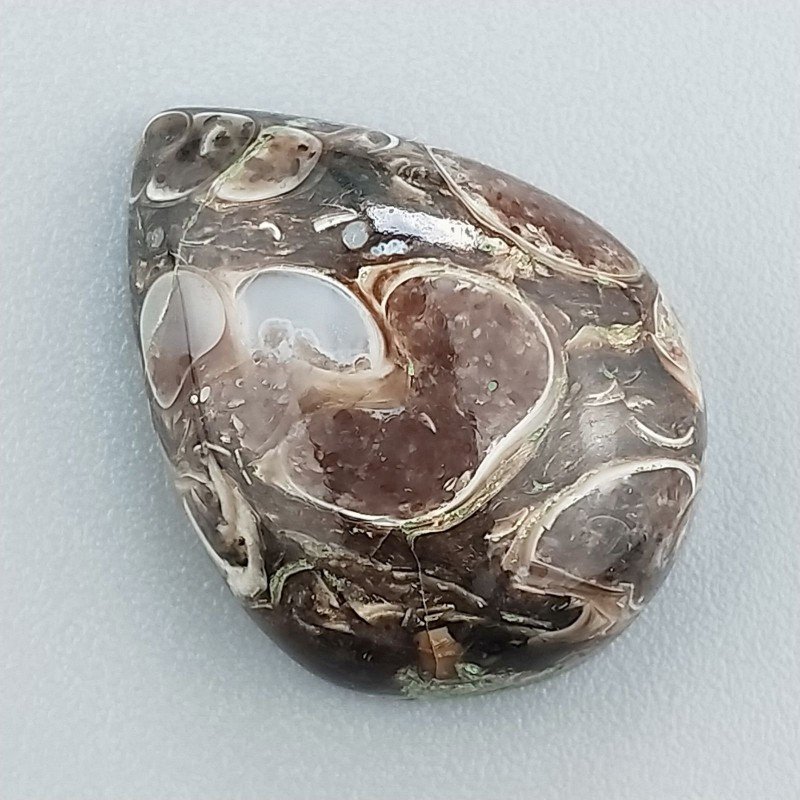 Agata Turritella Naturale Forma Goccia Piatto Cabochon Liscio Fatto a Mano 21X16X7mm 18,10 Carati 1pz