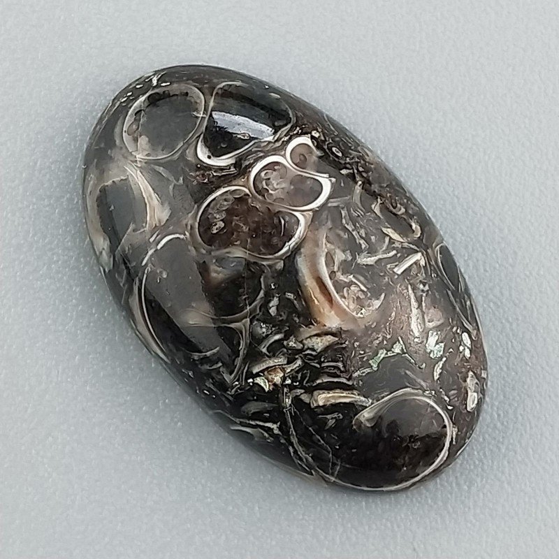 Agata Turritella Naturale Forma Ovale Piatto Cabochon Liscio Fatto a Mano 22X13X6mm 14,00 Carati 1pz