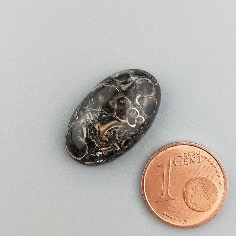 Agata Turritella Naturale Forma Ovale Piatto Cabochon Liscio Fatto a Mano 22X13X6mm 14,00 Carati 1pz