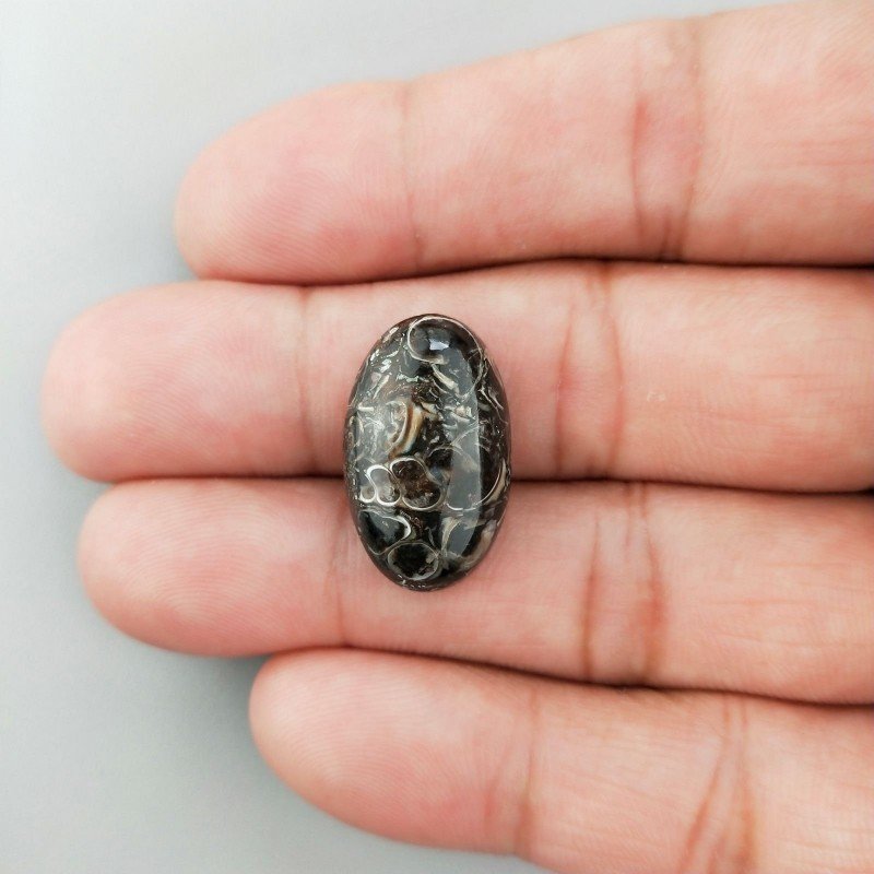 Agata Turritella Naturale Forma Ovale Piatto Cabochon Liscio Fatto a Mano 22X13X6mm 14,00 Carati 1pz