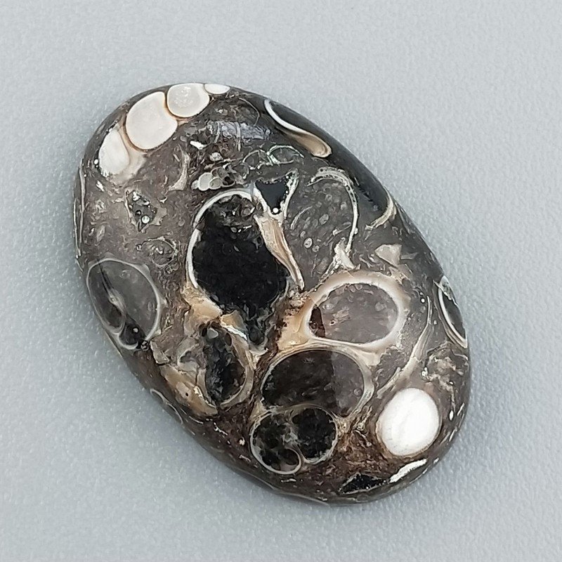 Agata Turritella Naturale Forma Ovale Piatto Cabochon Liscio Fatto a Mano 23X15X5mm 15,35 Carati 1pz