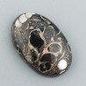 Agata Turritella Naturale Forma Ovale Piatto Cabochon Liscio Fatto a Mano 23X15X5mm 15,35 Carati 1pz