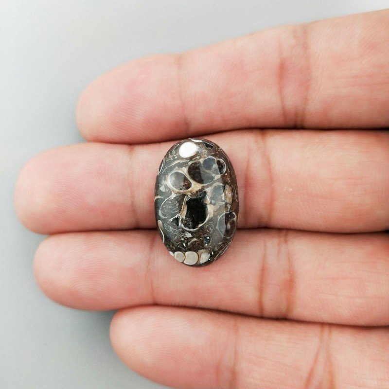 Agata Turritella Naturale Forma Ovale Piatto Cabochon Liscio Fatto a Mano 23X15X5mm 15,35 Carati 1pz