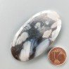 Agata Fossile Grigio Naturale Forma OvalePiatto Cabochon Liscio Fatto a Mano 56X30X5mm 15gm 1pz