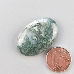 Agata Muschiata Naturale Forma Ovale Piatto Cabochon Liscio Fatto a Mano 29X19X06mm 5,45gm 1pz