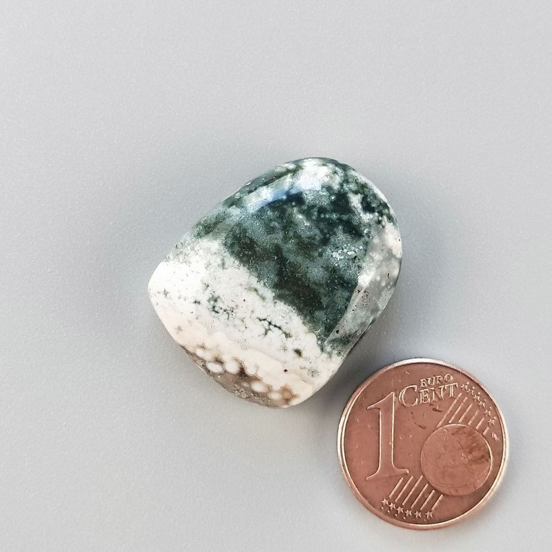 Agata Muschiata Naturale Forma Fantasia Piatto Cabochon Liscio Fatto a Mano 24X19mm 6,32gm 1pz