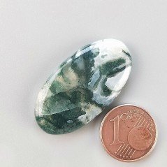 Agata Muschiata Naturale Forma Ovale Piatto Cabochon Liscio Fatto a Mano 33X17X04mm 4,83gm 1pz