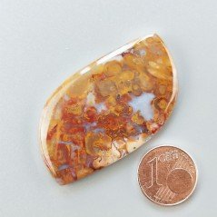 Agata Radice di Palma Naturale Forma Fantasia Piatto Cabochon Liscio Fatto a Mano 47X26mm 10.45gm 1pz