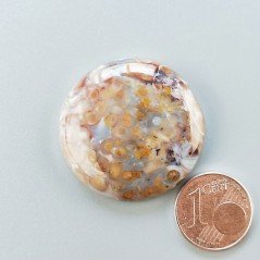 Agata Radice di Palma Naturale Forma Tondo Piatto Cabochon Liscio Fatto a Mano 30mm 9.18gm 1pz