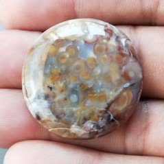 Agata Radice di Palma Naturale Forma Tondo Piatto Cabochon Liscio Fatto a Mano 30mm 9.18gm 1pz