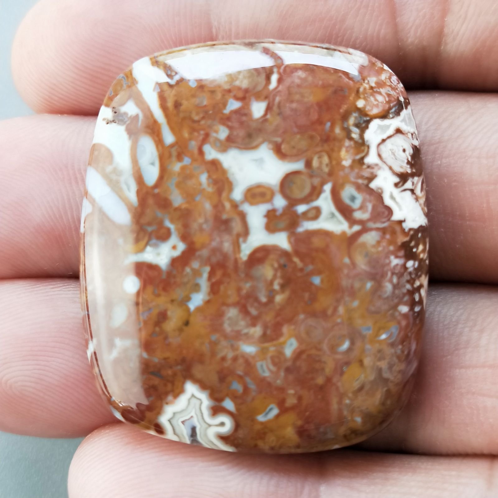 Agata Radice di Palma Naturale Forma Cuscino Piatto Cabochon Liscio Fatto a Mano 37X32mm 14.06gm 1pz