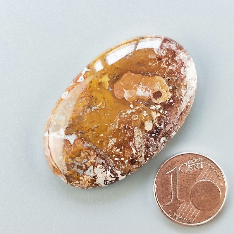 Cabochon di Agata Radice di Palma Naturale Ovale, Piatto e Liscio, 40x25 mm, 11,55 g, Fatto a Mano