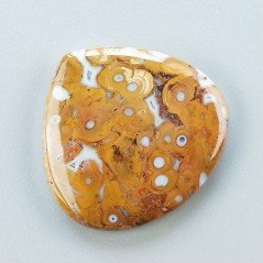 Agata Radice di Palma Naturale Forma Cuore Piatto Cabochon Liscio Fatto a Mano 29X28mm 6.14gm 1pz