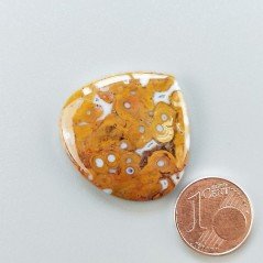 Agata Radice di Palma Naturale Forma Cuore Piatto Cabochon Liscio Fatto a Mano 29X28mm 6.14gm 1pz