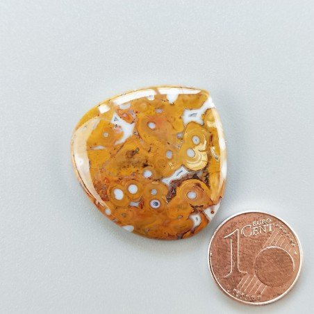 Agata Radice di Palma Naturale Forma Cuore Piatto Cabochon Liscio Fatto a Mano 29X28mm 6.14gm 1pz