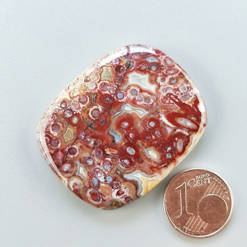 Cabochon di Agata Radice di Palma Naturale Cuscino, Piatto e Liscio, 39x31 mm, 13,13 g, Fatto a Mano