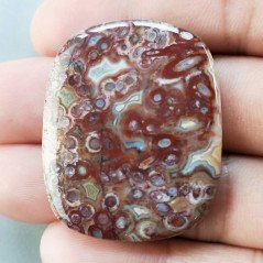 Cabochon di Agata Radice di Palma Naturale Cuscino, Piatto e Liscio, 39x31 mm, 13,13 g, Fatto a Mano