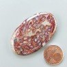 Agata Radice di Palma Naturale Forma Ovale Piatto Cabochon Liscio Fatto a Mano 44X26mm 10.00gm 1pz