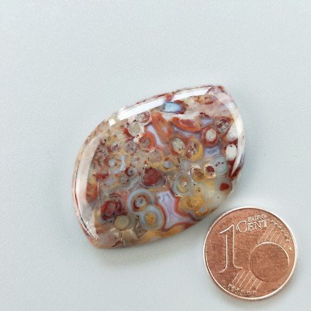 Agata Radice di Palma Naturale Forma Fantasia Piatto Cabochon Liscio Fatto a Mano 34X24mm 7.36gm 1pz
